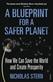 Blueprint for a Safer Planet, A: How We Can Save the World and Create Prosperity